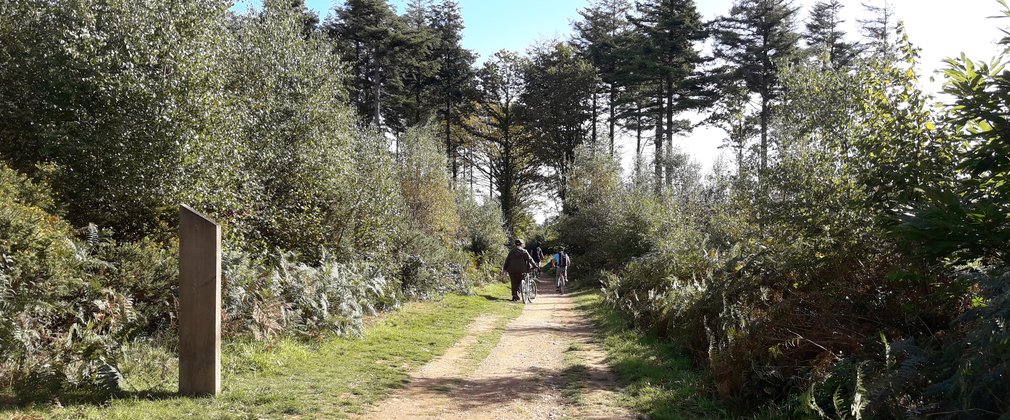 Cycling at Cann Wood