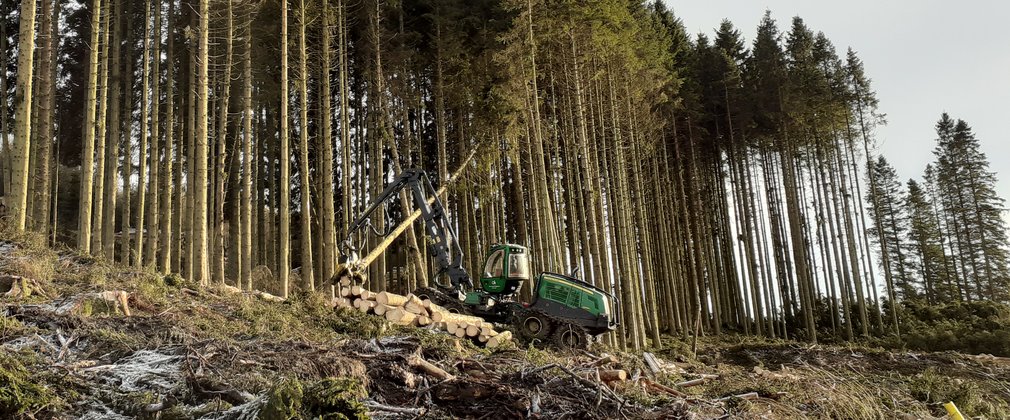 Harvester felling trees in the distance on frosty ground