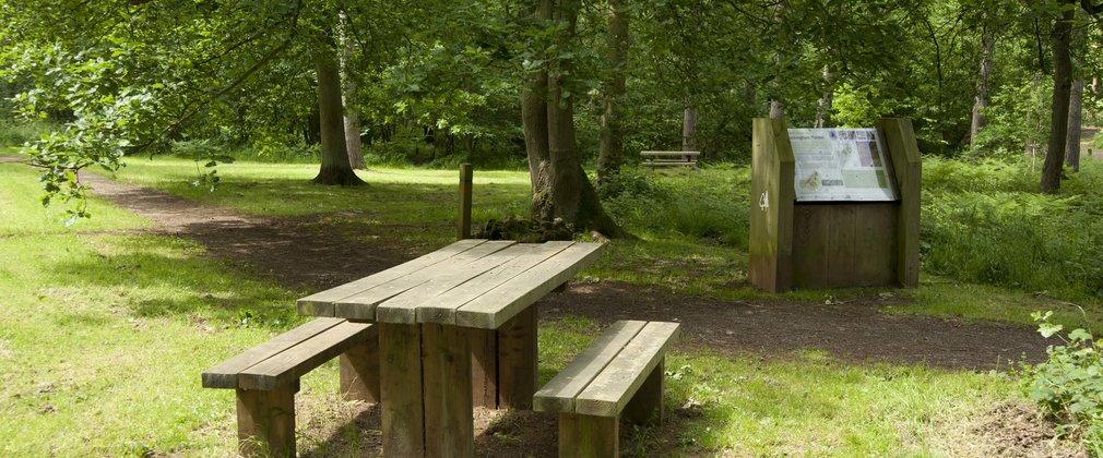 Wakerley picnic