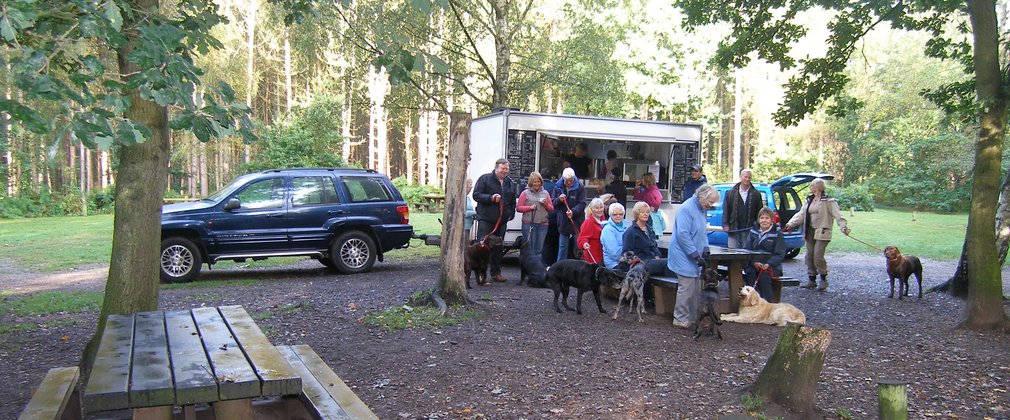 Blidworth Woods picnic area