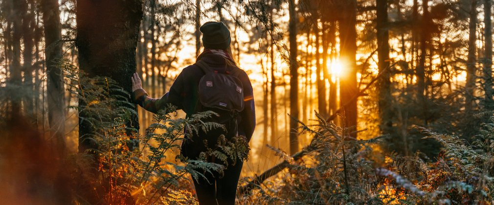 Woman standing in woodland at sunset