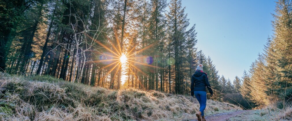 A woman walking through a frosty forest with sunlight peaking through the trees