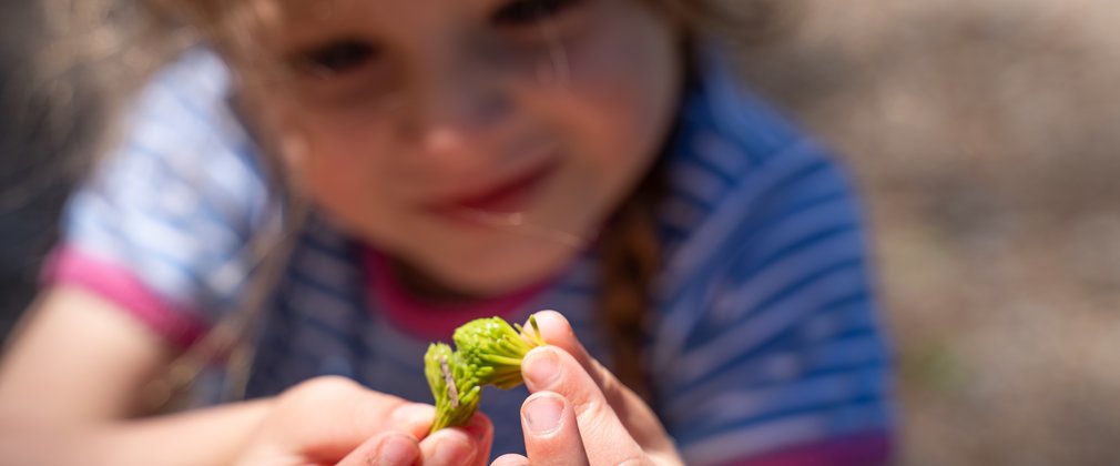 A young girl holding and looking at a plan from the forest floor