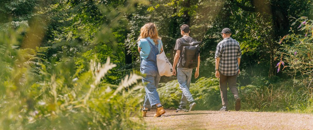 Three people walking away down a forest trail in the summer sunshine