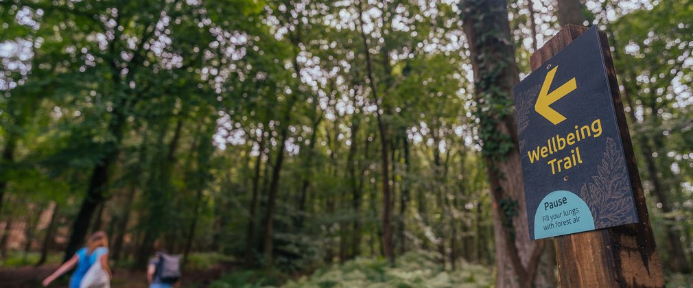 people in forest