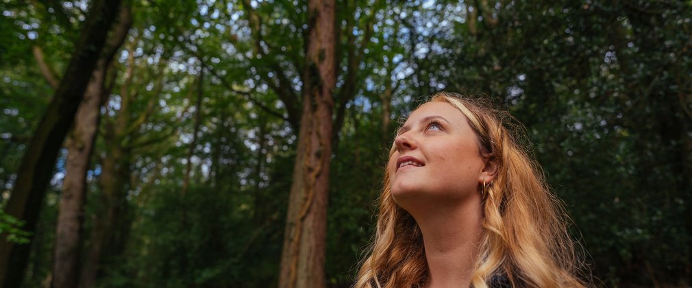 woman looking up into the trees