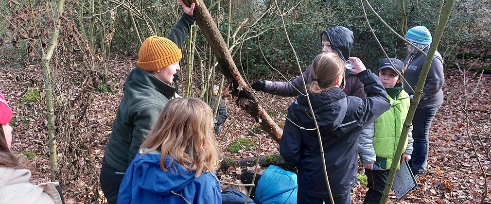 Children in a woodland setting