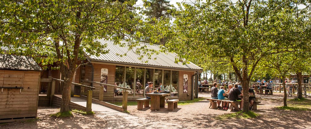 A timber building is visible through cheery trees in leaf. People are sitting at a picnic table.