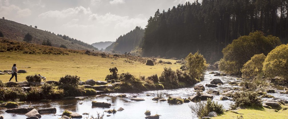 River running through open field with trees at a distance