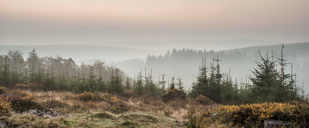 View across Dartmoor