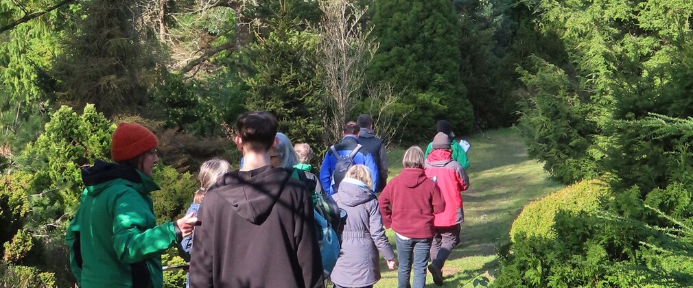 A group of people walking through the trees 