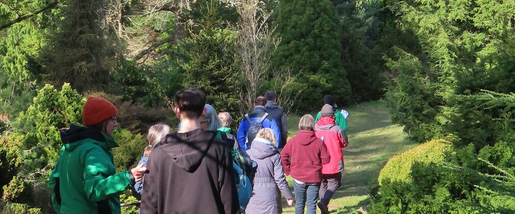 A group of people walking through the trees