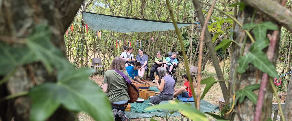 Group of people playing musical instruments in a woodland