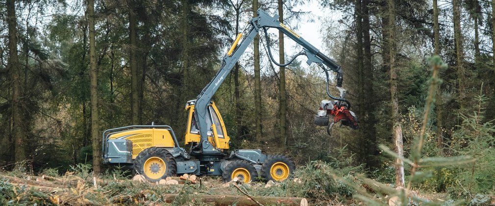 A yellow harvesting machine travelling through a conifer forest