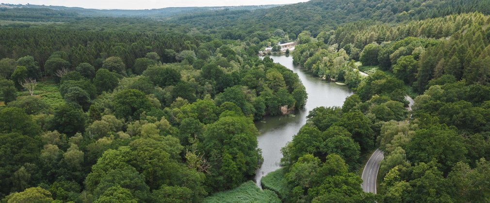 Aerial image of Cannop Ponds, surrounded by forest
