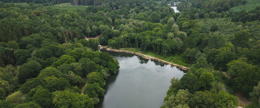 Aerial photo of Cannop Ponds