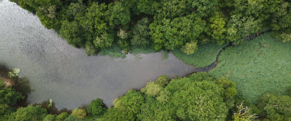 Aerial view of pond next to a road