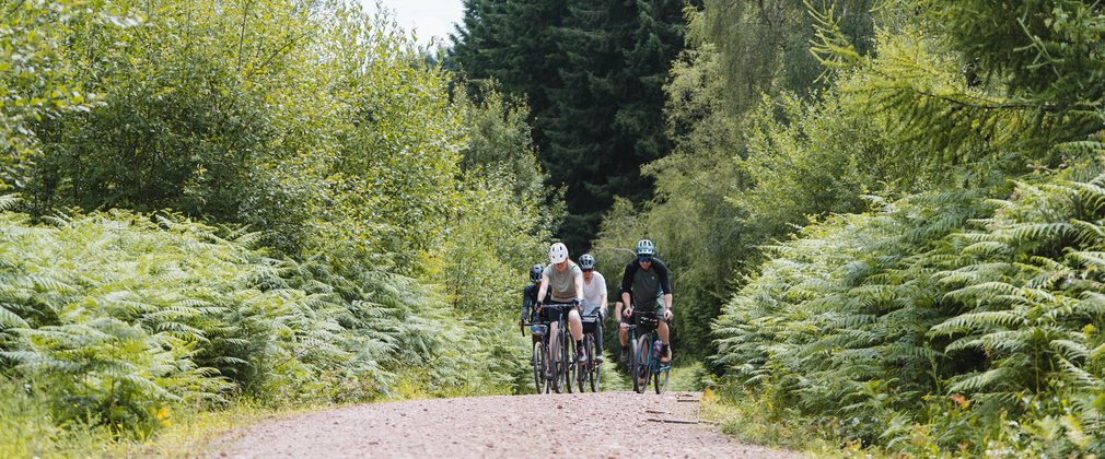 A group of four people cycling on a forest road
