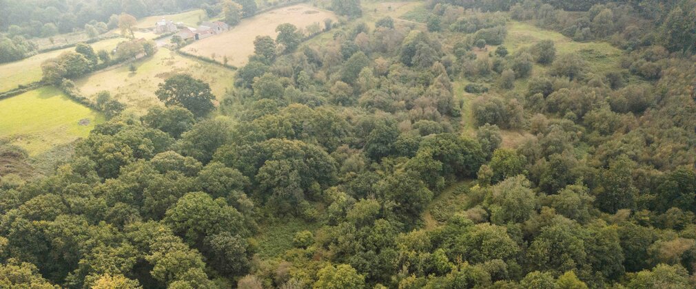 Aerial view of Neroche woodland habitat connecting with neighbouring farmland