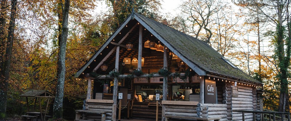 Log cabin cafe within a forest