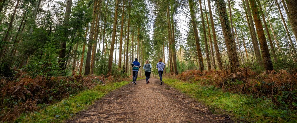 running in forest