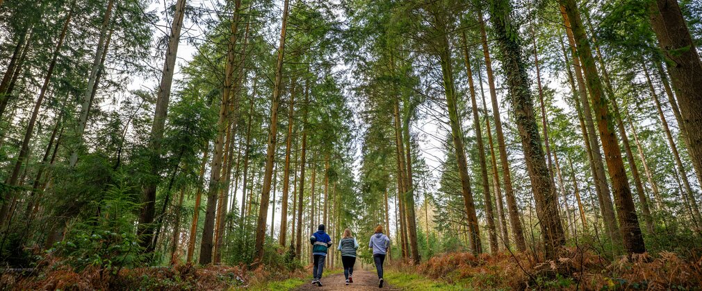 running in forest
