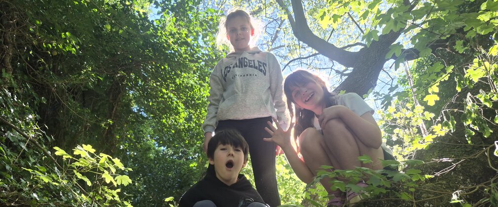 Three children playing in the forest 