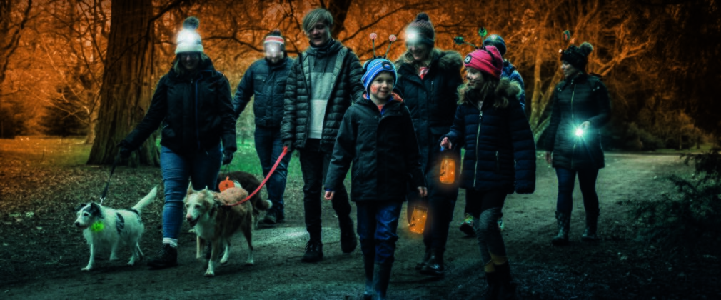 Family group walking at night with 2 dogs in a forest