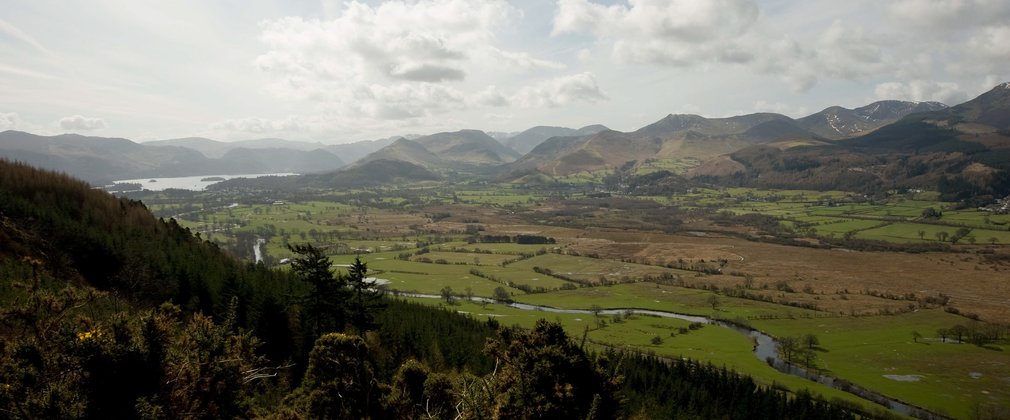 view from Dodd Wood 