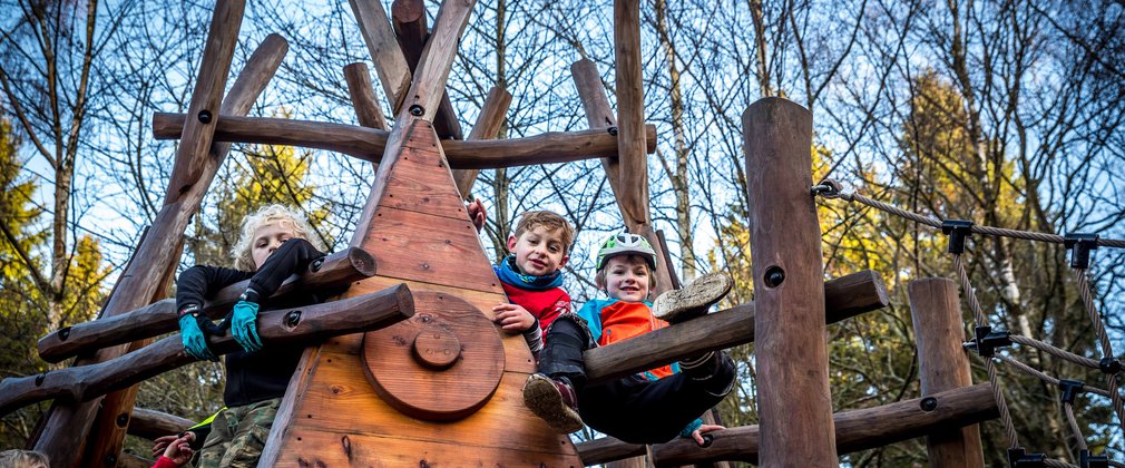 children on the play trail at Hamsterley Forest