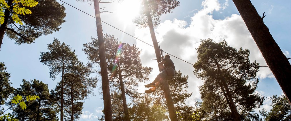 Person on a zip wire, high ropes course in the forest