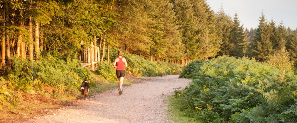 Running on a dog friendly trail