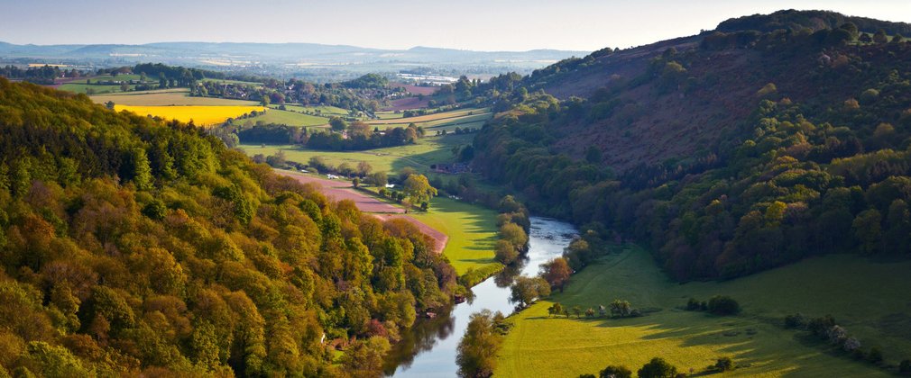 Forest of Dean River Landscape 