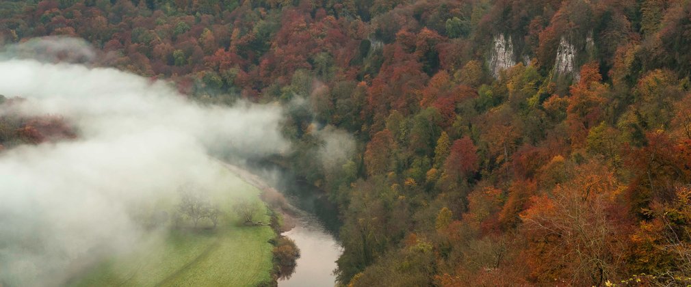 Mist in the valley over Symonds Yat at sunrise