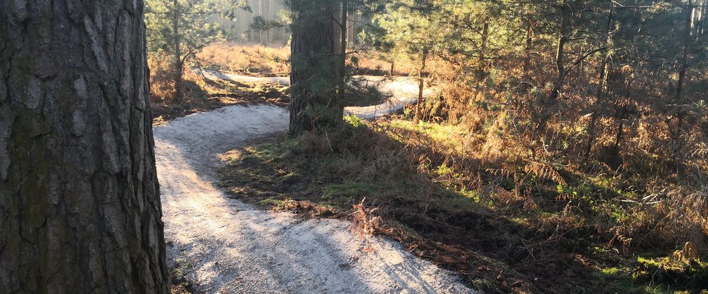 lime burner trail cycle trail winding through trees