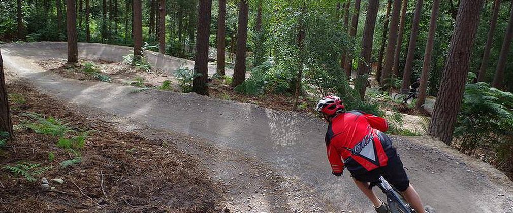 mountain biker on downhill trail