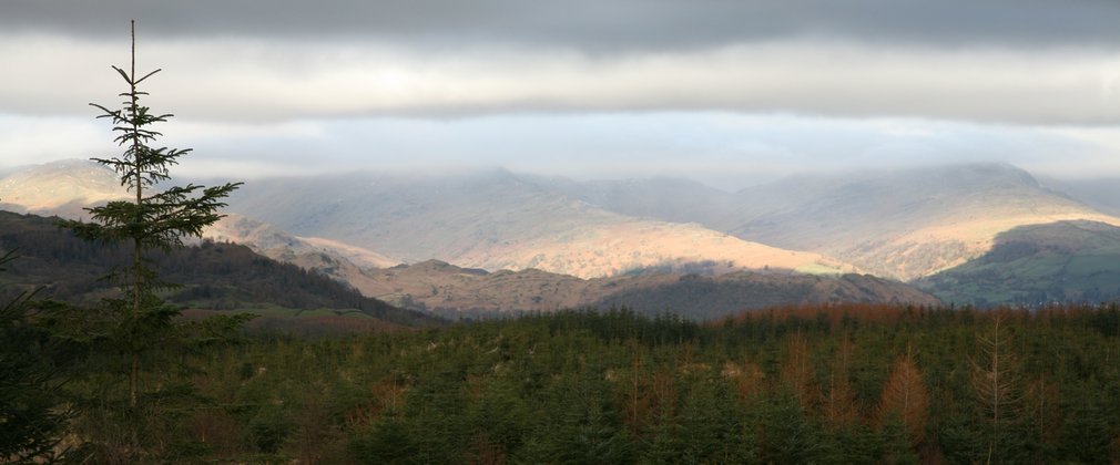 Grizedale landscape with views over the forest
