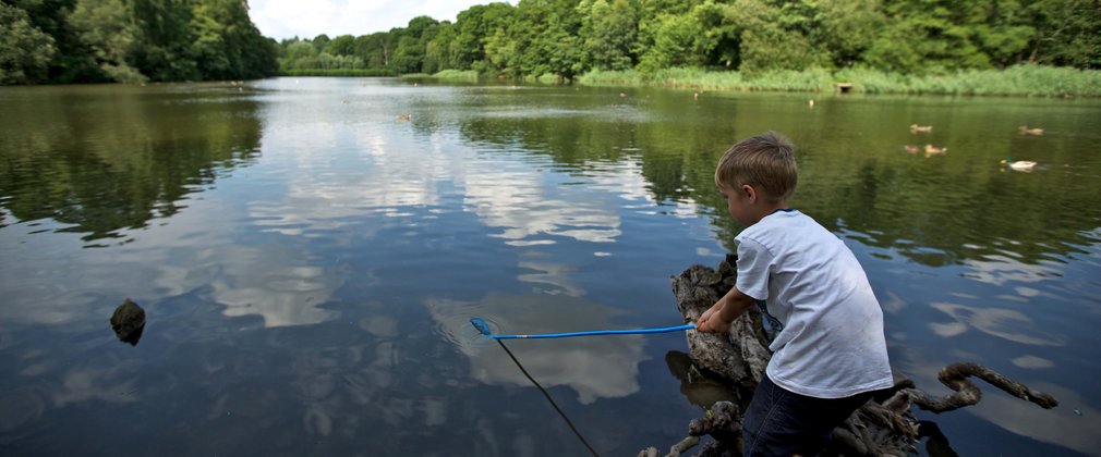 small boy fishing in a woodland lake