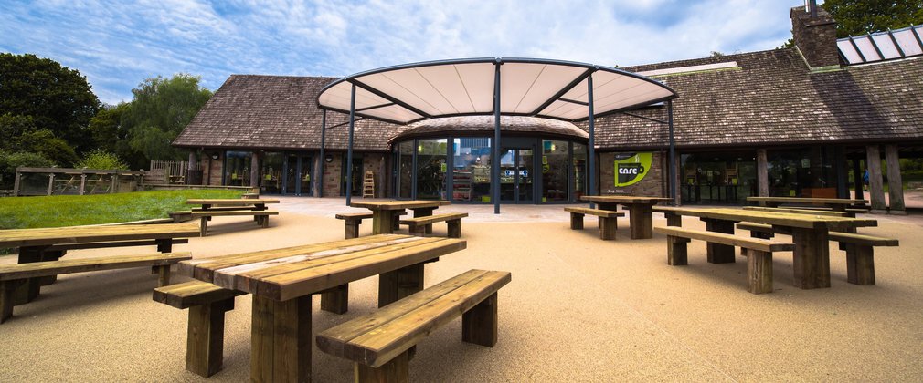 Cafe at Beechenhurst in the Forest of Dean