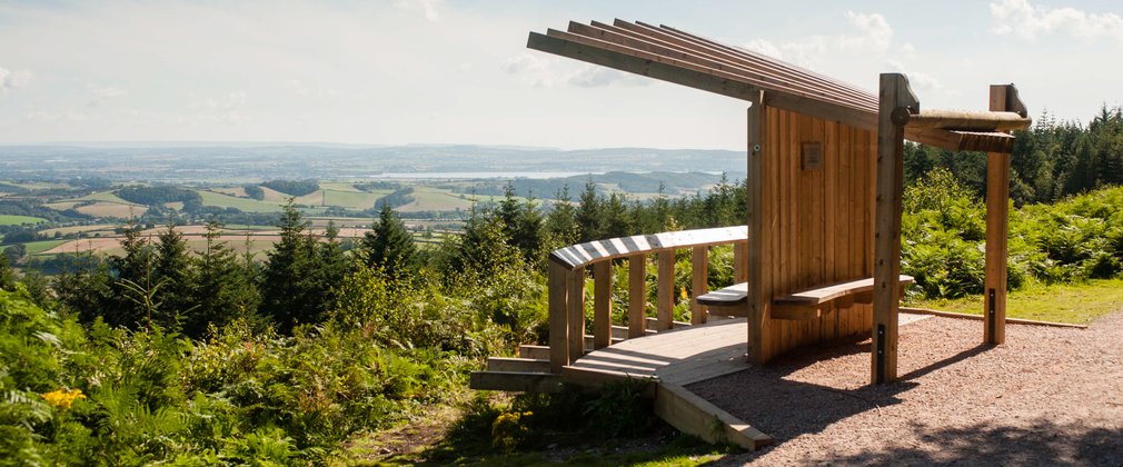 Viewpoint over the forest