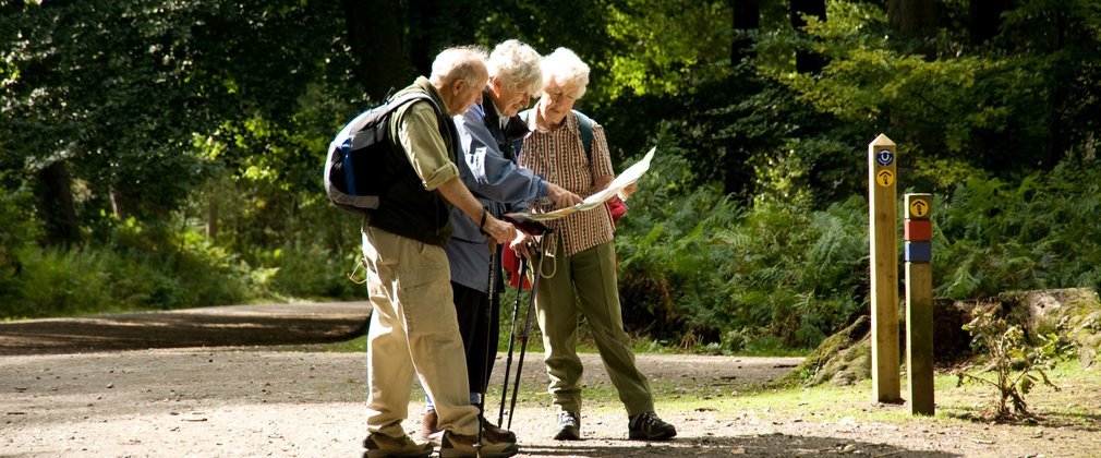 walkers about to start a woodland walk