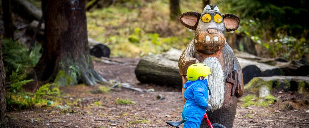 Child on bike looking at Gruffalo's Child Hamsterley Forest