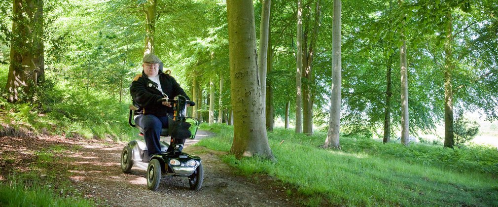 Easy access paths through the wood with man on tramper