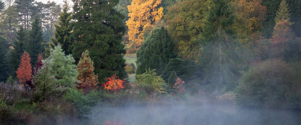 Early morning mist rising up above the lake in autumn 