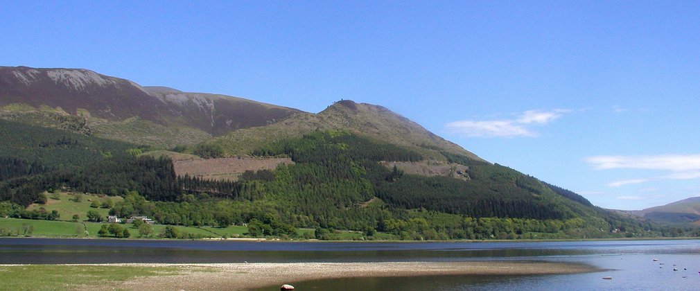 Dodd Wood from Bassenthwaite Lake