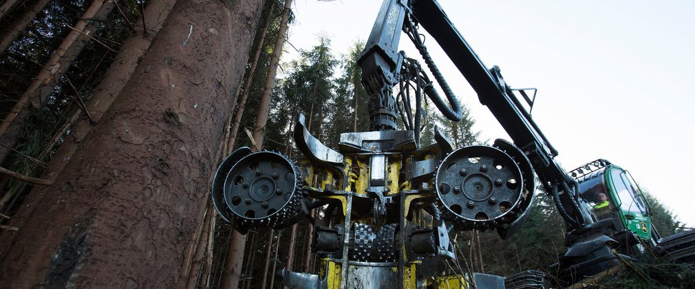 Harvester machine working in Kielder Forest