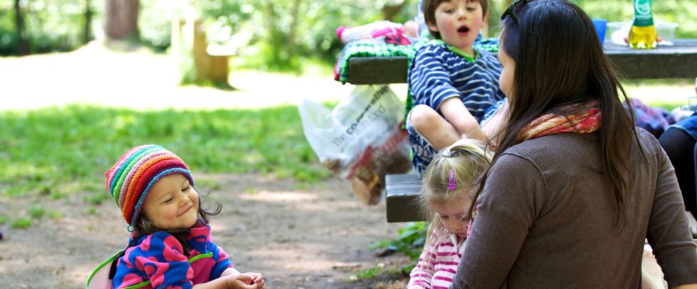 family enjoying a picnic in the woods