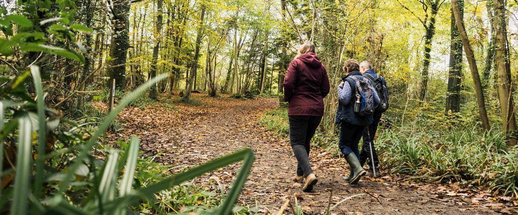 walkers enjoying a walk through nature in autumn 