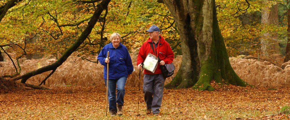 Older couple walking in the woods in autumn 