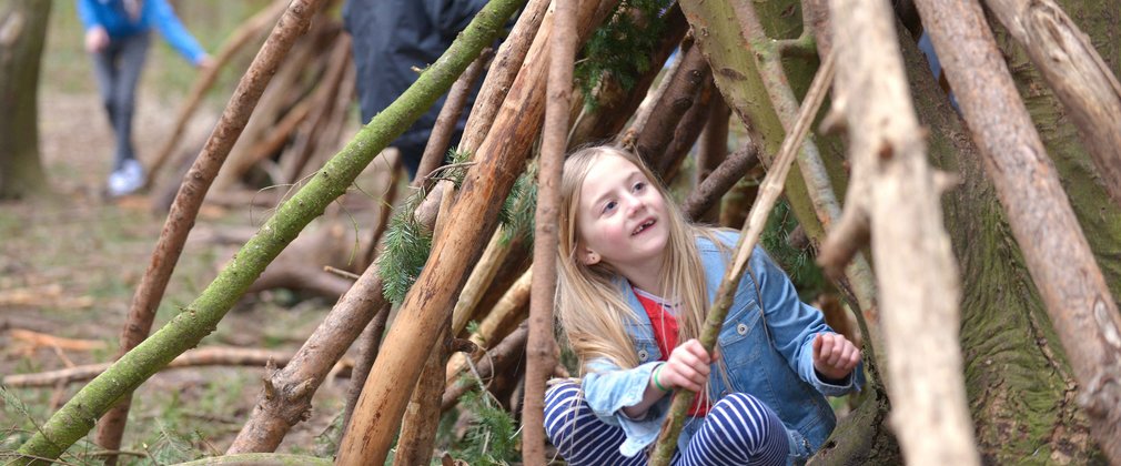 Children building dens in the forest 